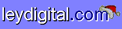leydigital.com
